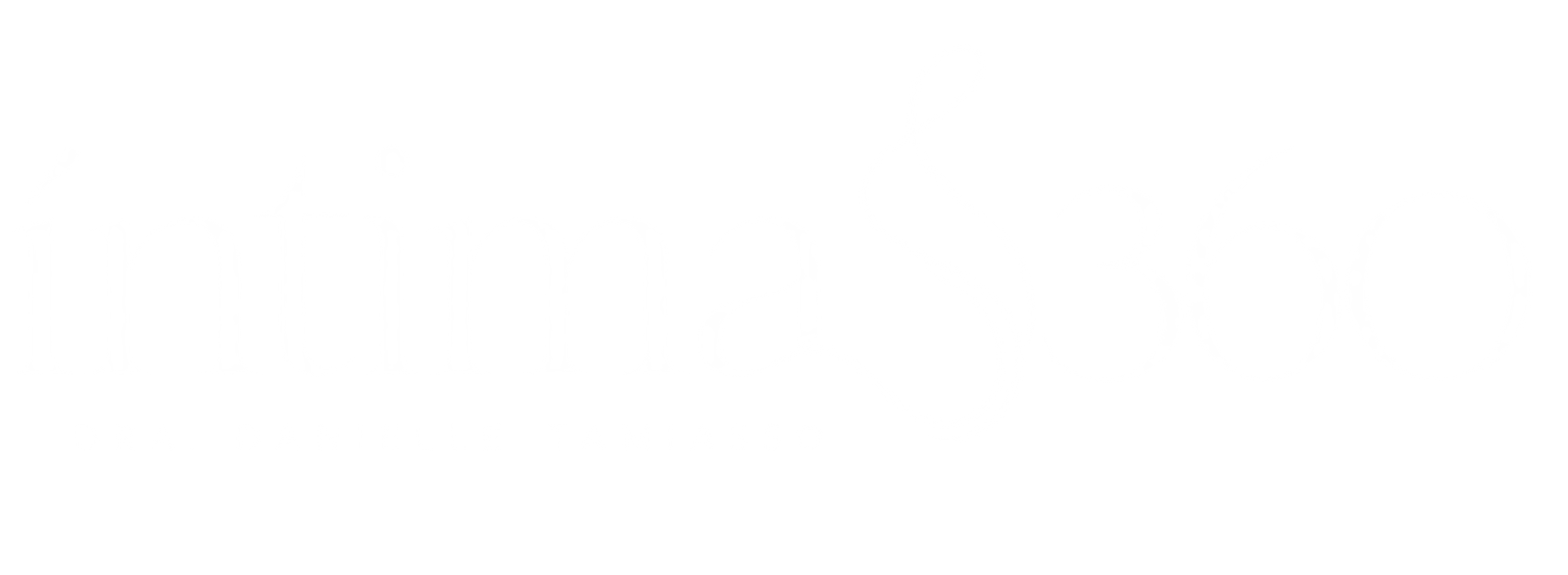 Íntima 360